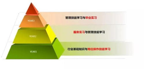 三亞中瑞酒店管理學院 把握全球十大熱門行業脈搏，開啟酒店管理職業新篇章